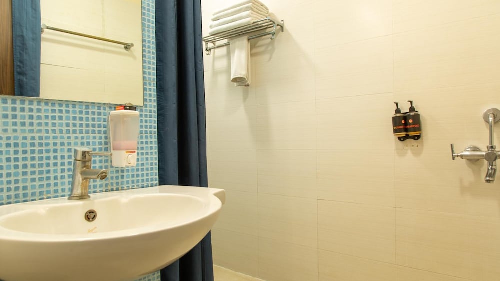 Ginger Hotel Jamshedpur 18/35
