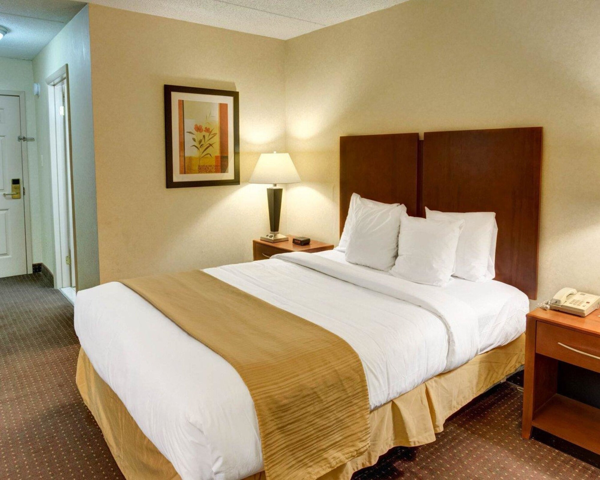 غرفة بسرير كوين للمدخنين
