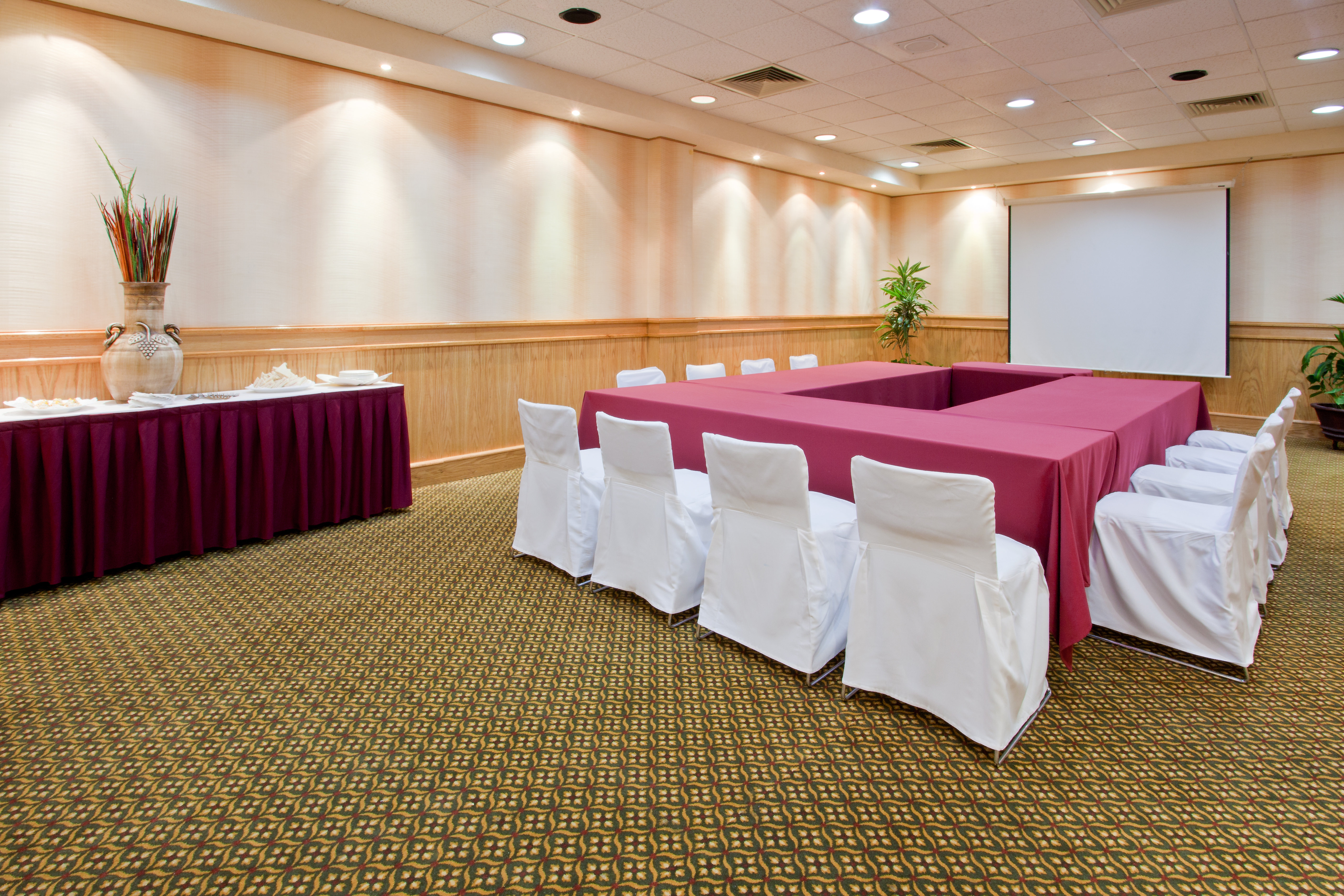 Holiday Inn La Piedad 46/55