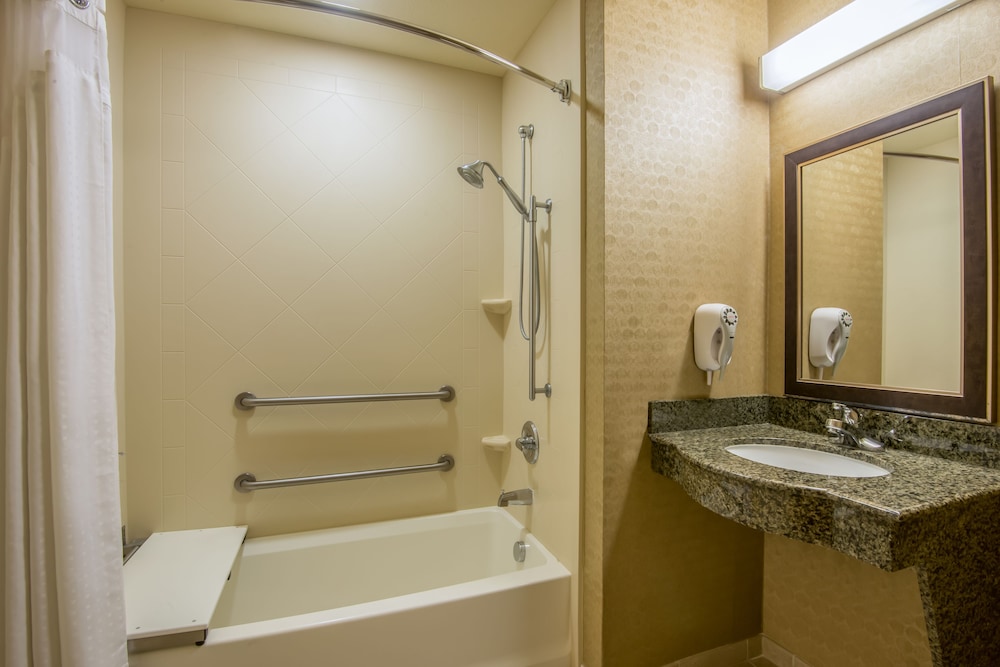 Holiday Inn Express Hotel Suites Clovis 19/49