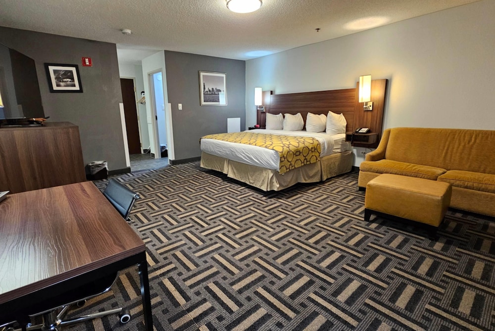 Suite, King Bed