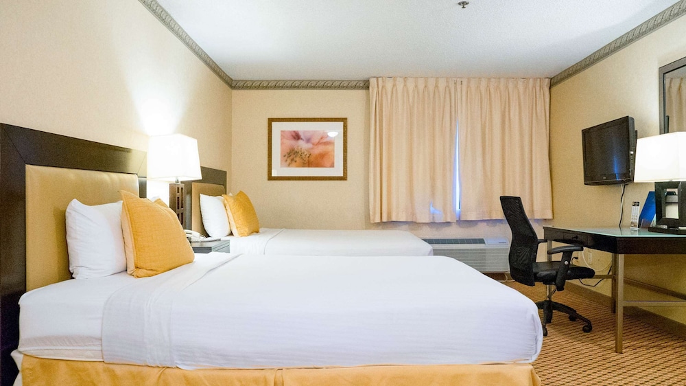 STANDARD, 2 QUEEN BEDS
