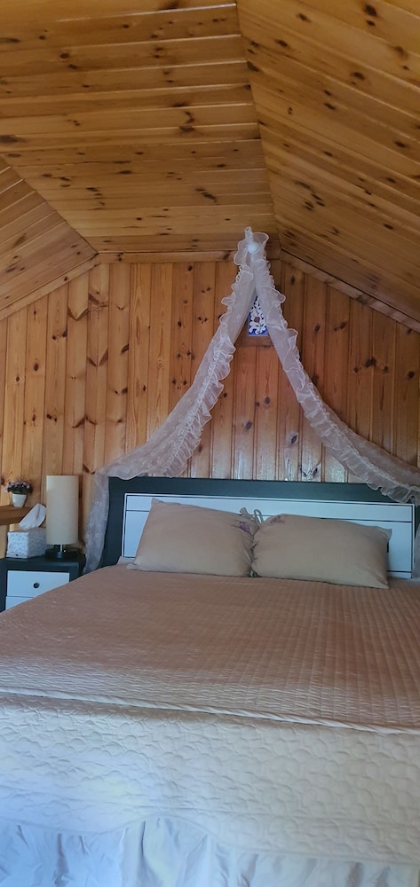 Nadeuli Pension 65/66