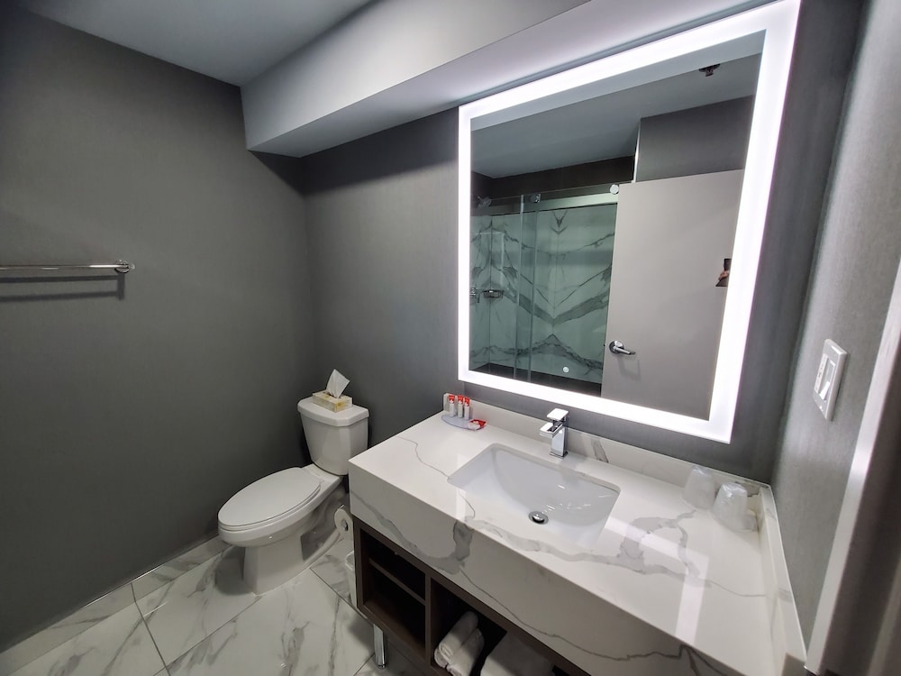 Crowne Plaza Saint John Harbour View by IHG 24/74