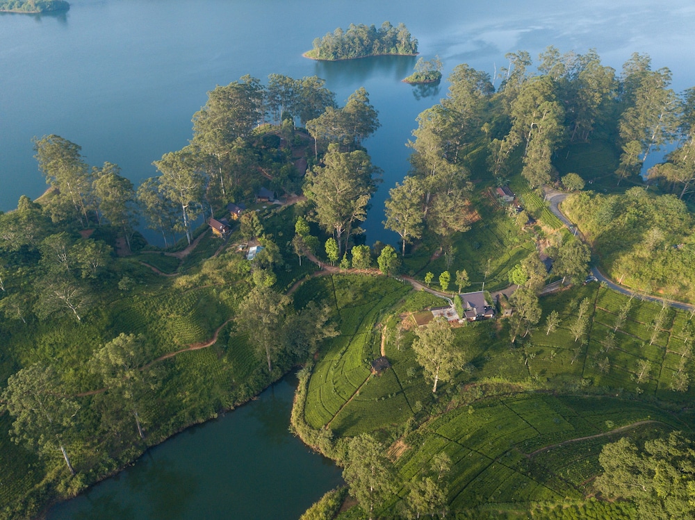 The Farm Resorts 31/50