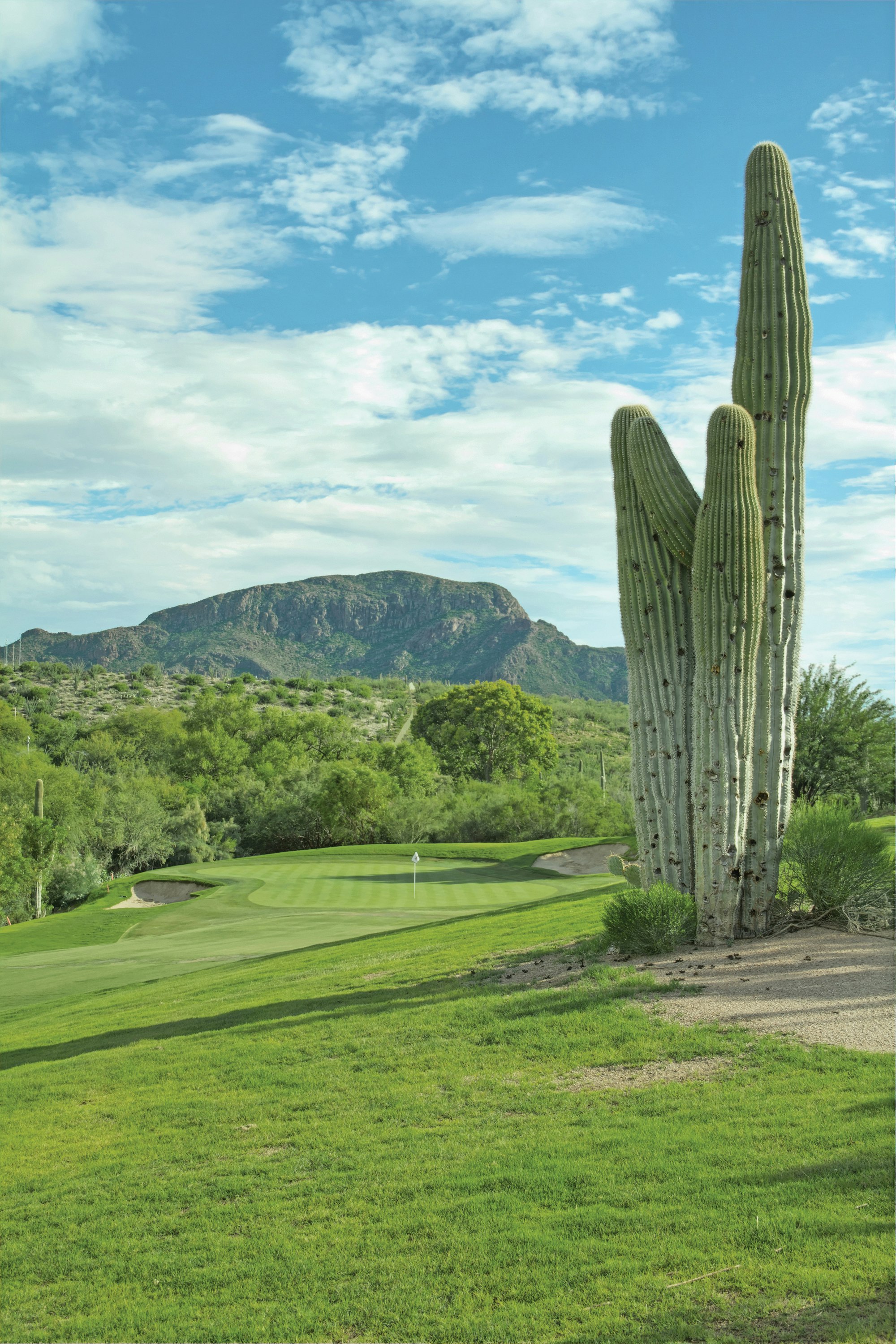 Starr Pass Golf Suites 40/50