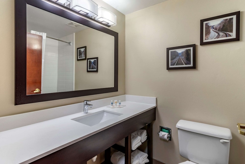 Comfort Suites Warner Robins 15/56