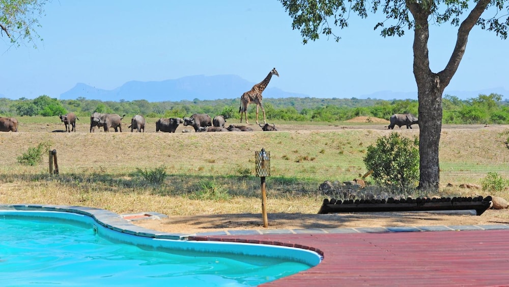 Tangala Safari Camp 24/50