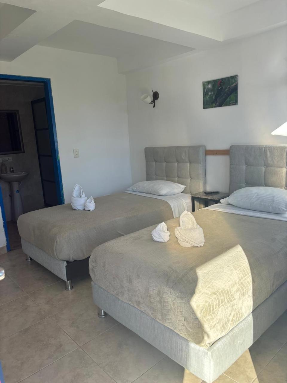 Hotel El Jardin 25/50