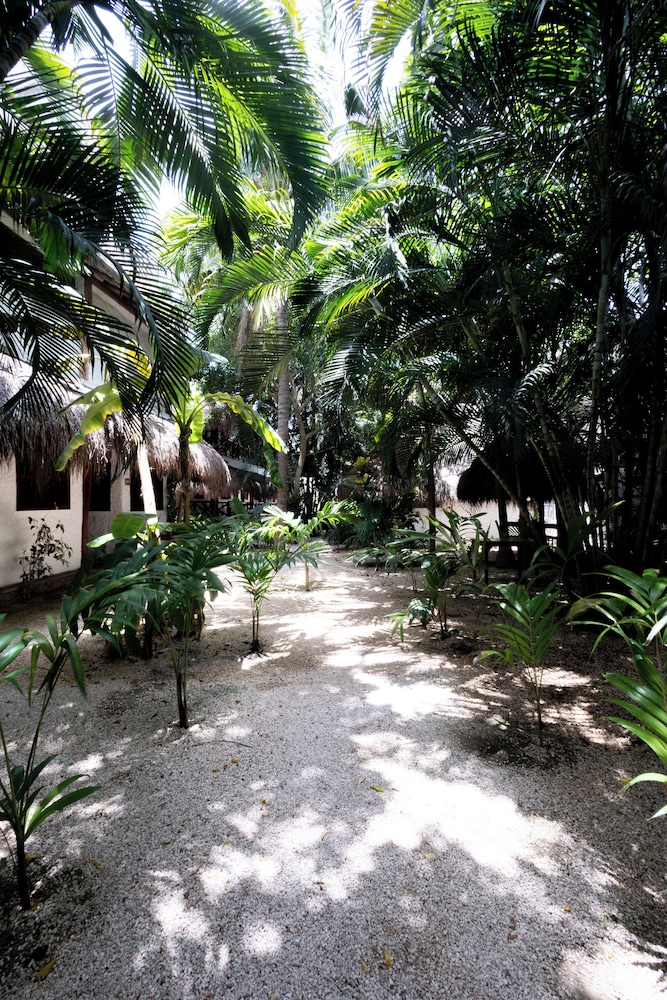 Casa Barbara 57/63