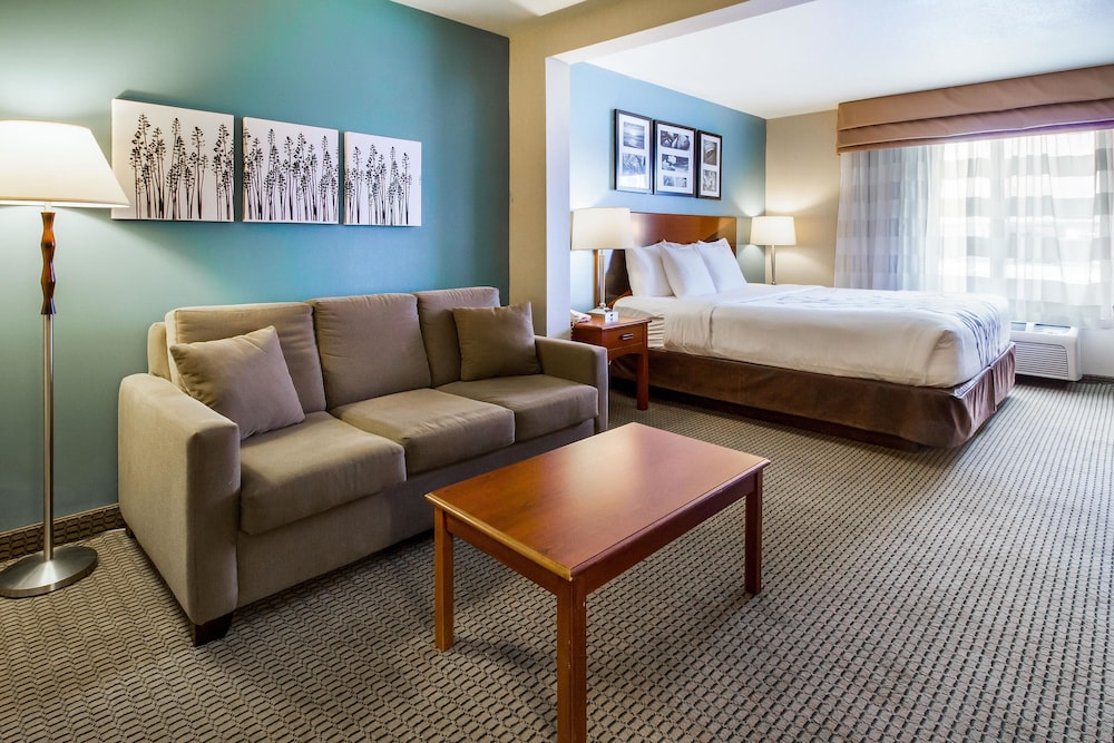 Sleep Inn & Suites Rapid City 23/35