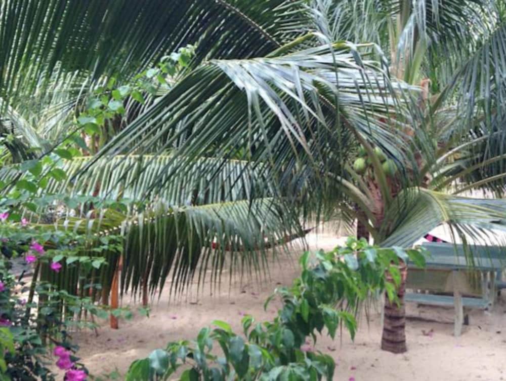 Cocosand Hotel 24/41