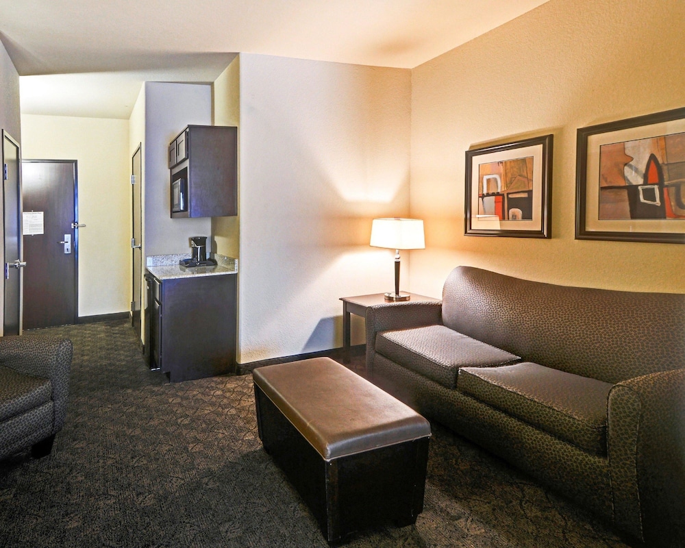 Comfort Suites Arlington - Entertainment District, TX 18/33