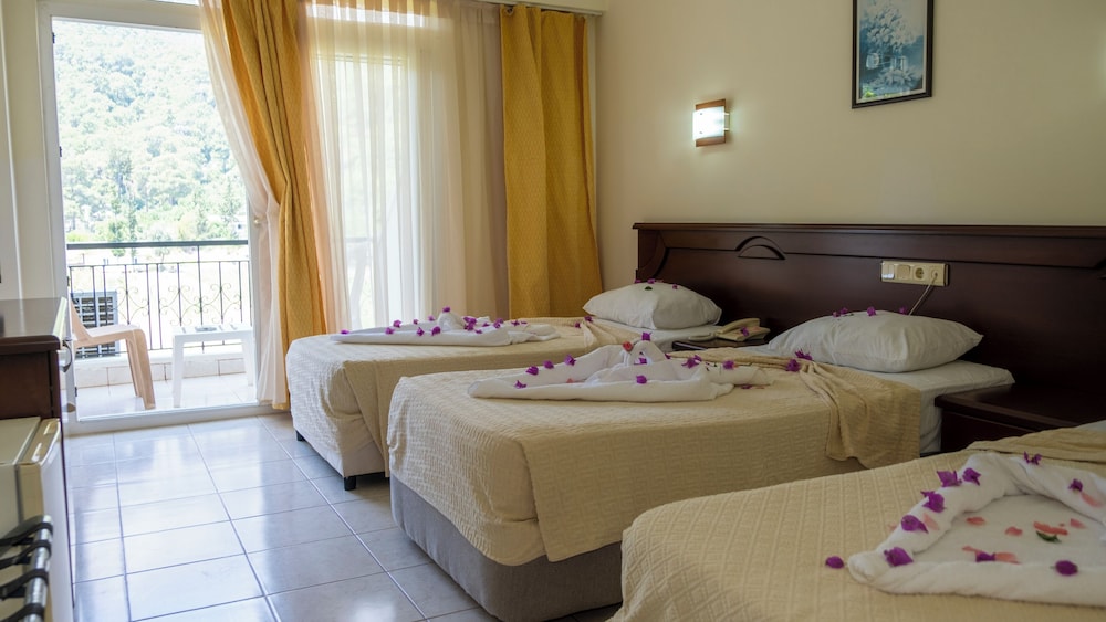 غرفة قياسية بسرير مزدوج بإطلالة على الجبل بشرفة، Imeros Hotel 3/5