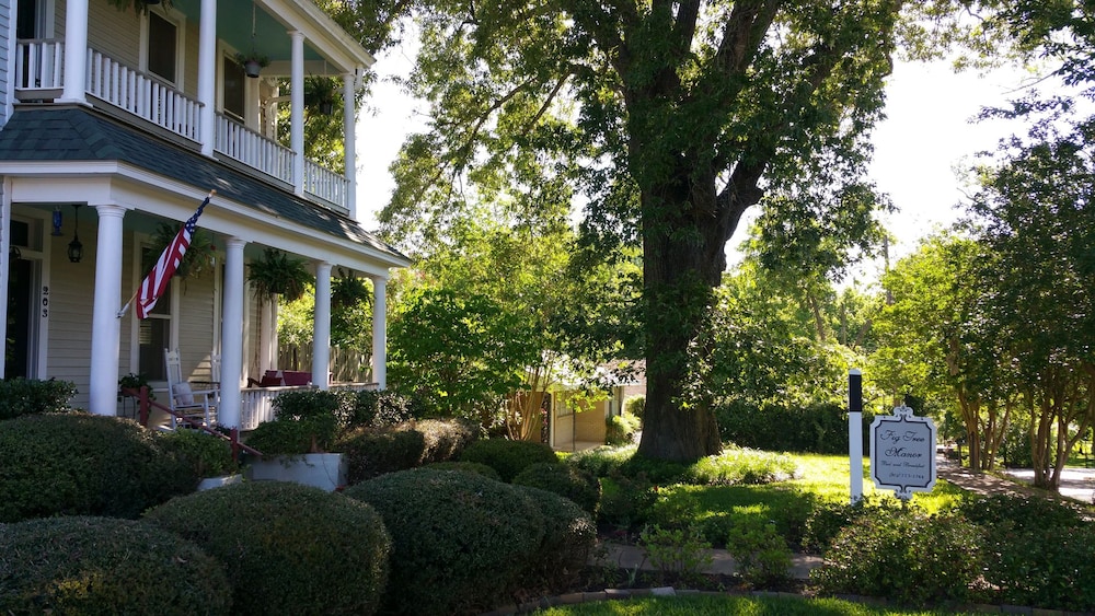 Fig Tree Manor 36/45
