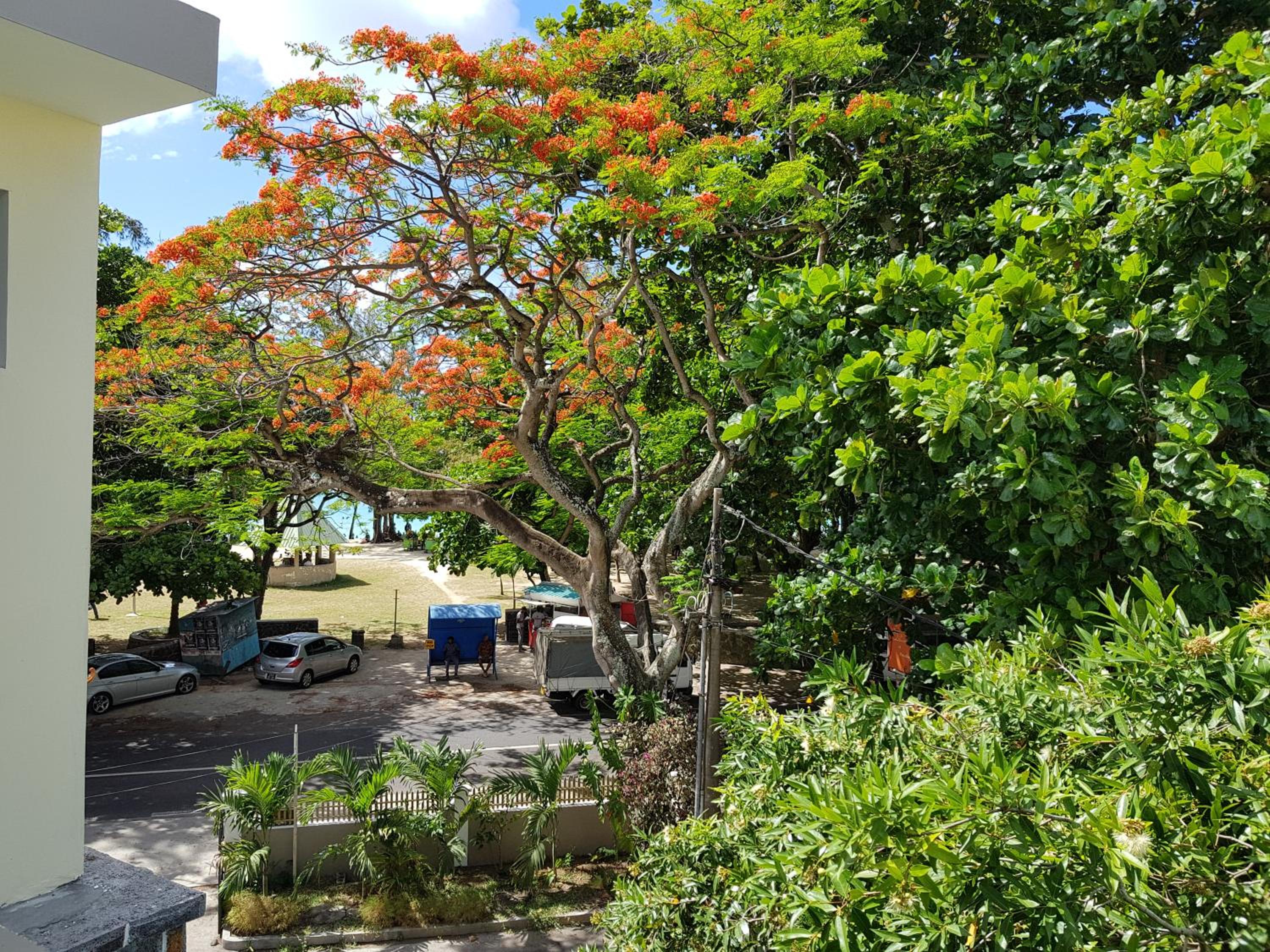 Pereybere Beach Apartments 80/83