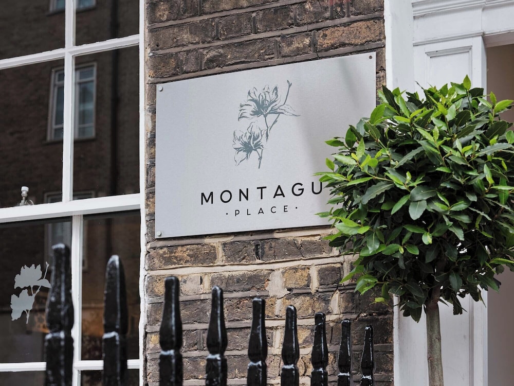 Montagu Place Hotel 2/50
