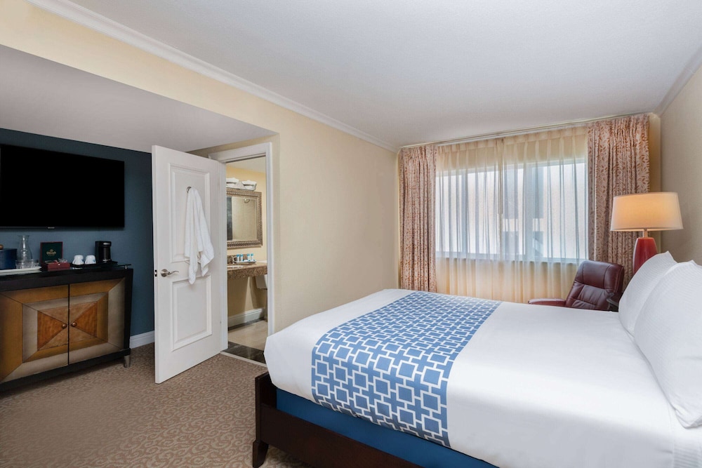 Room, Queen Bed