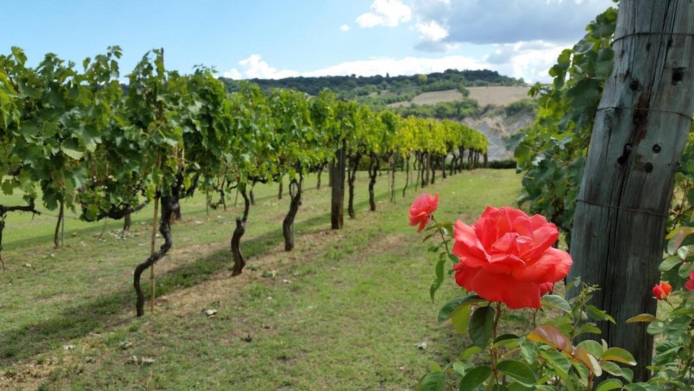Agriturismo I Sicomori 34/48