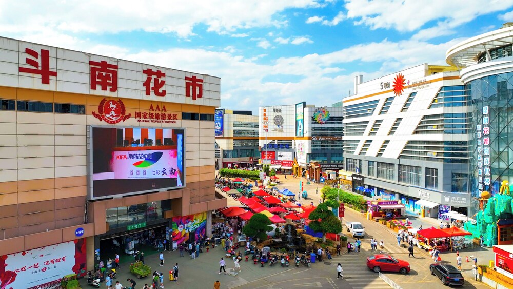 Wanda Realm Kunming 40/49