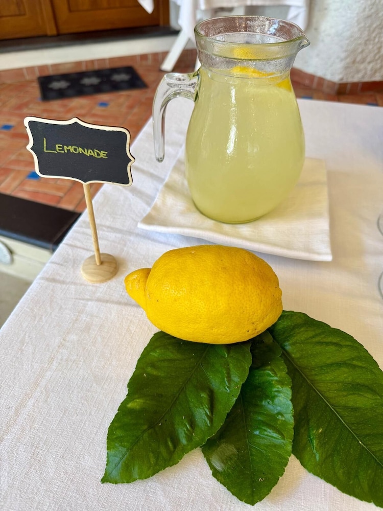 La Pergola Hotel 19/49