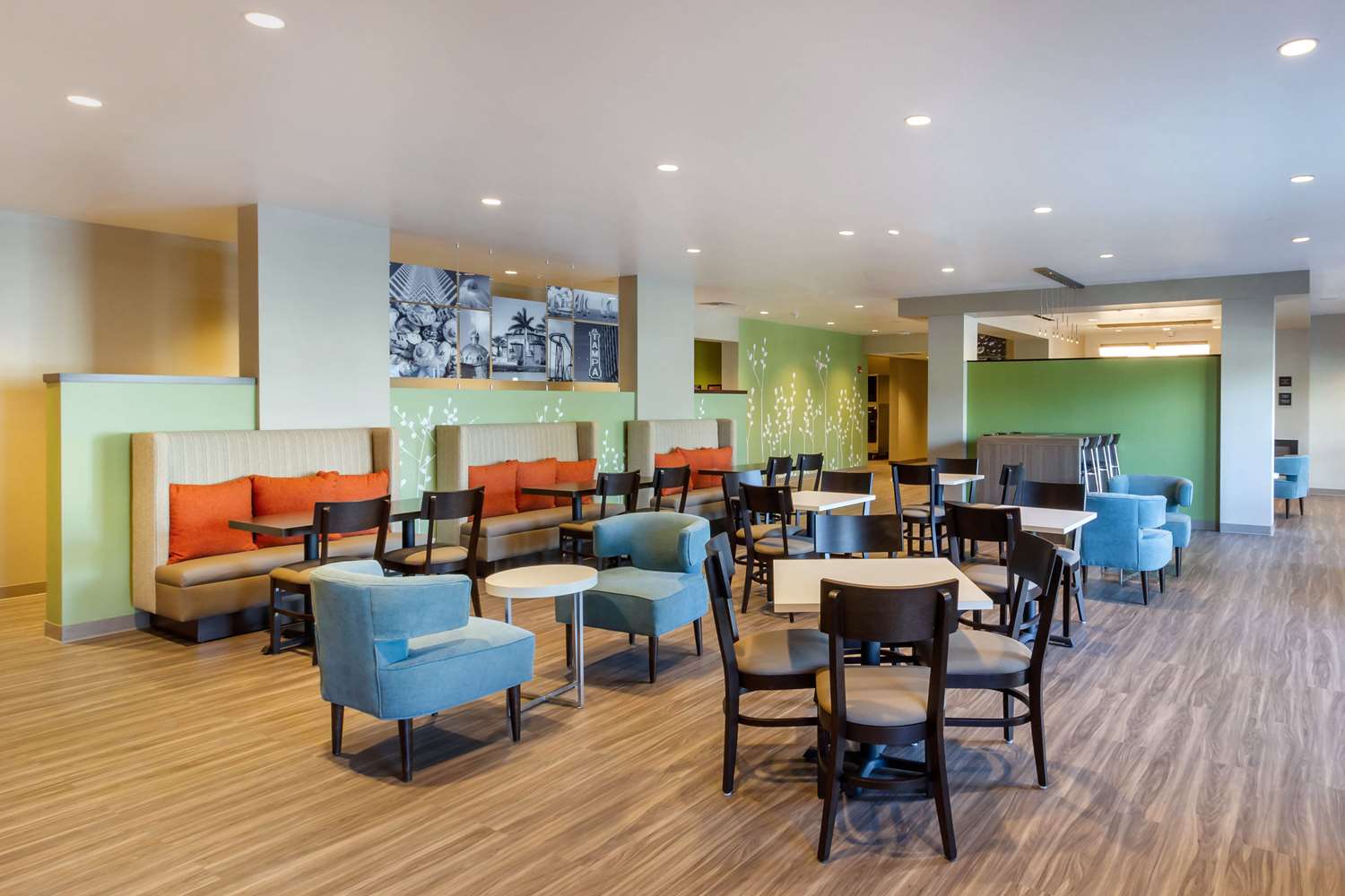 Sleep Inn & Suites Tampa South 34/42
