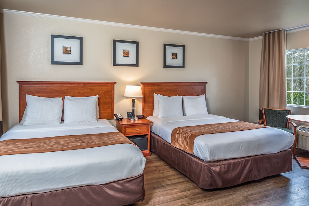 The Inn At 1252 Monterey photo4