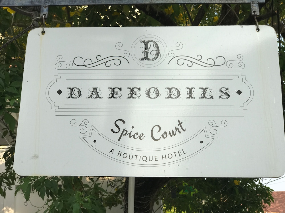Daffodils Spice Court 11/50