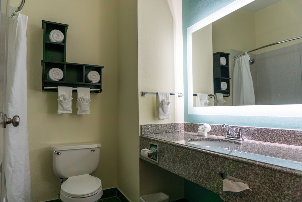 غرفة قياسية بسرير كينج يُسمح فيها بالحيوانات الأليفة، Best Western Mayport Inn & Suites 3/5