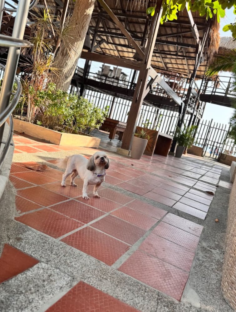 Gio Hotel Santa Marta Tama Ex Tequendama Inn Santa Marta Hotel By Sercotel 24/49