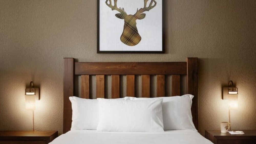 Great Wolf Lodge Bloomington 22/49