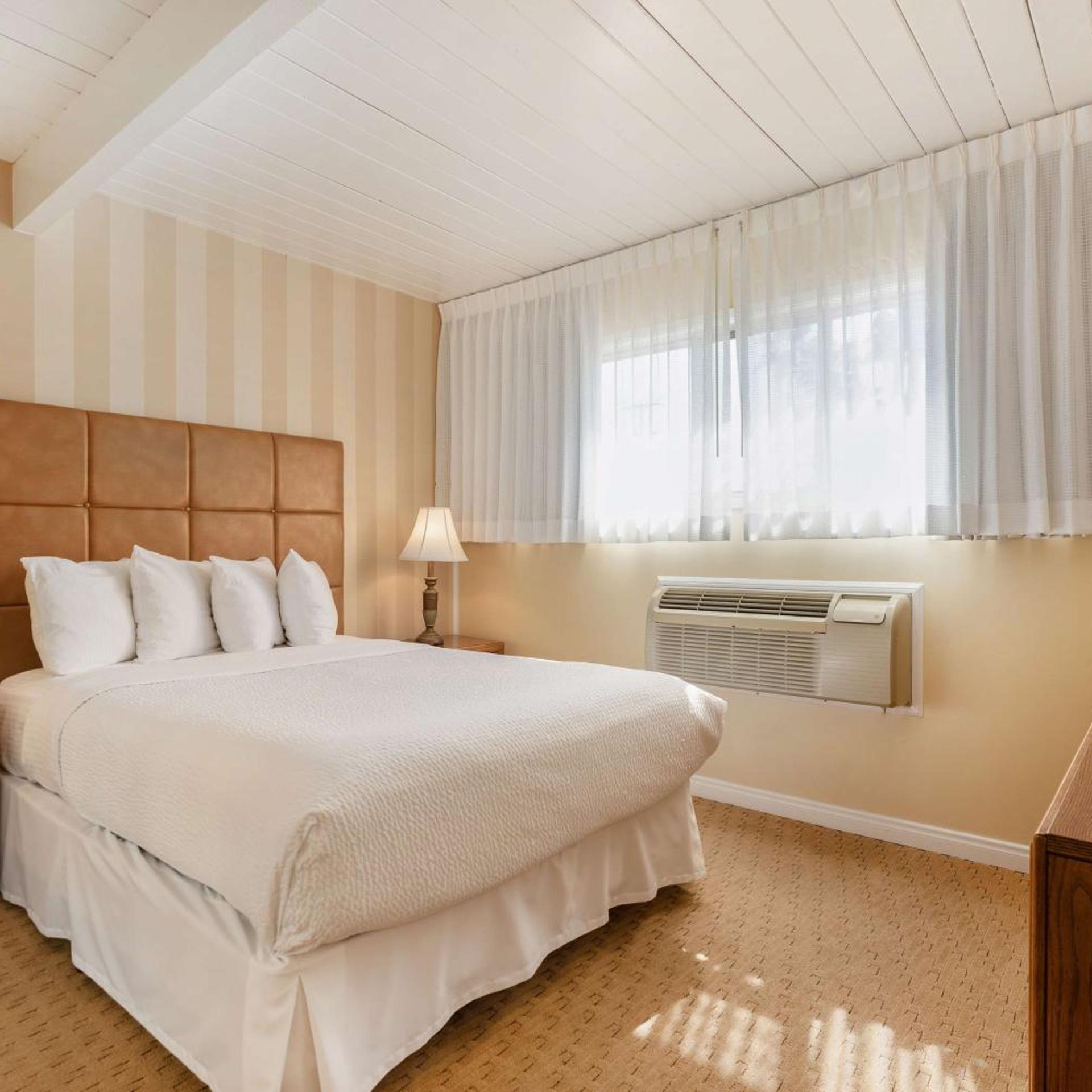 1 Bedroom, Apartment, King Bed, Sofa