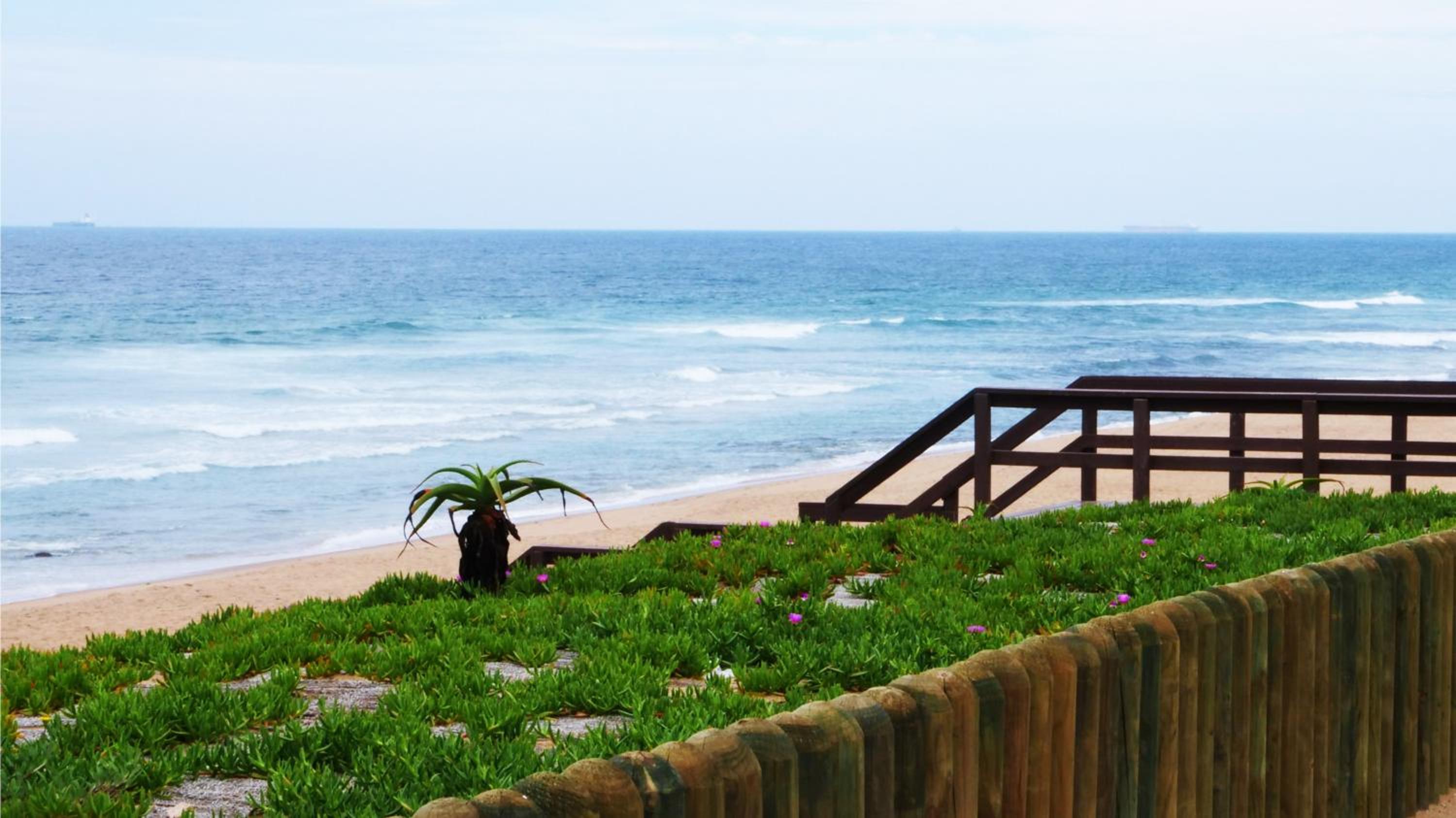 Ansteys Beach 36/50
