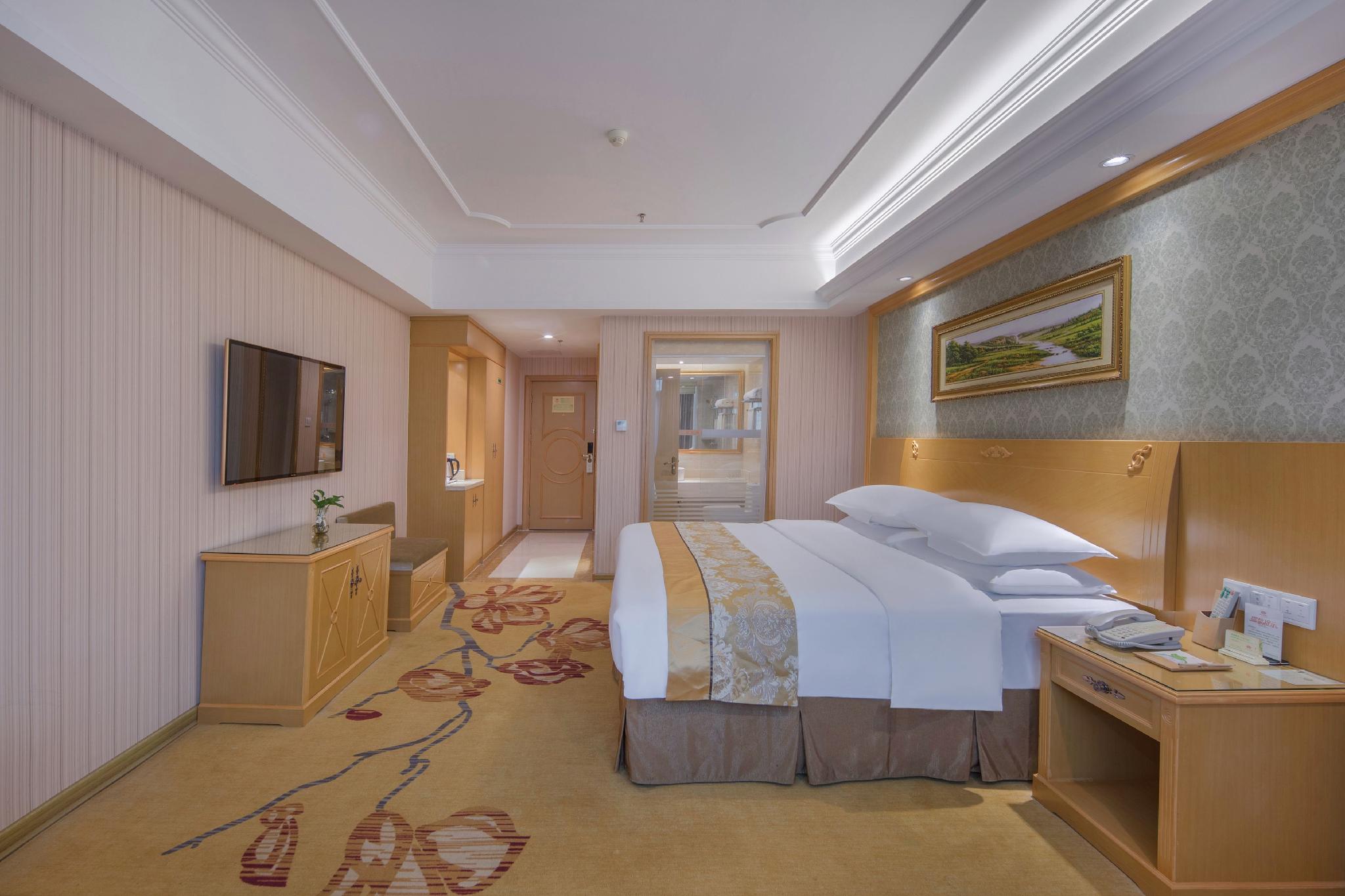 Vienne Hotel (Nanning Qingxiu Mountain)، نانينغ 20/33