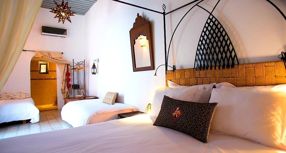 Riad Safir 17/49
