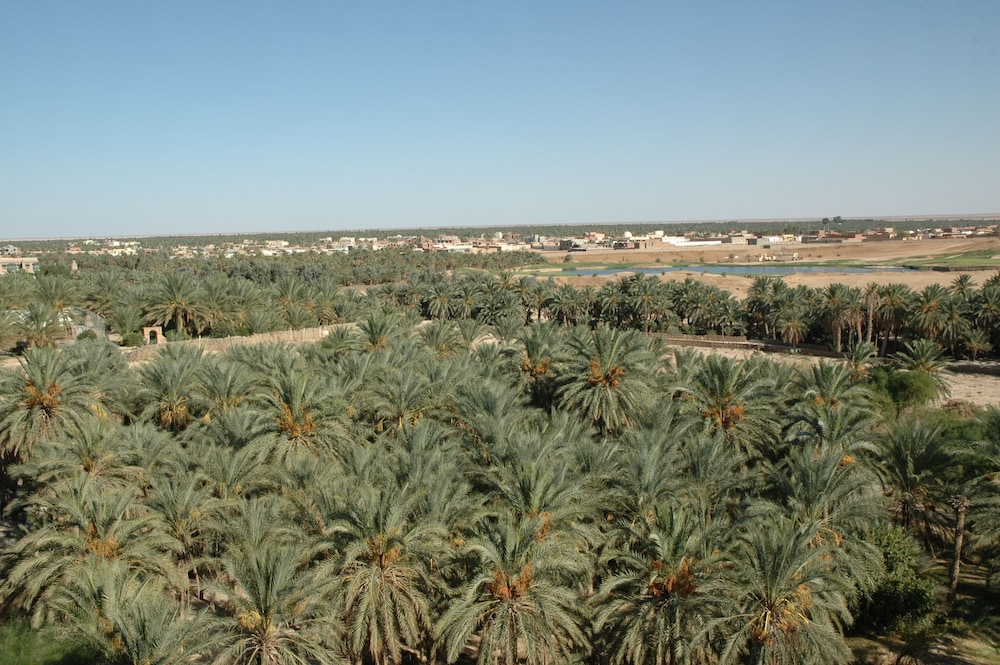 El Mouradi Tozeur 68/74