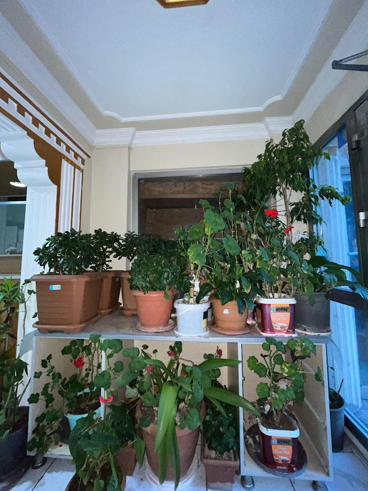 Bolu Otel 15/50