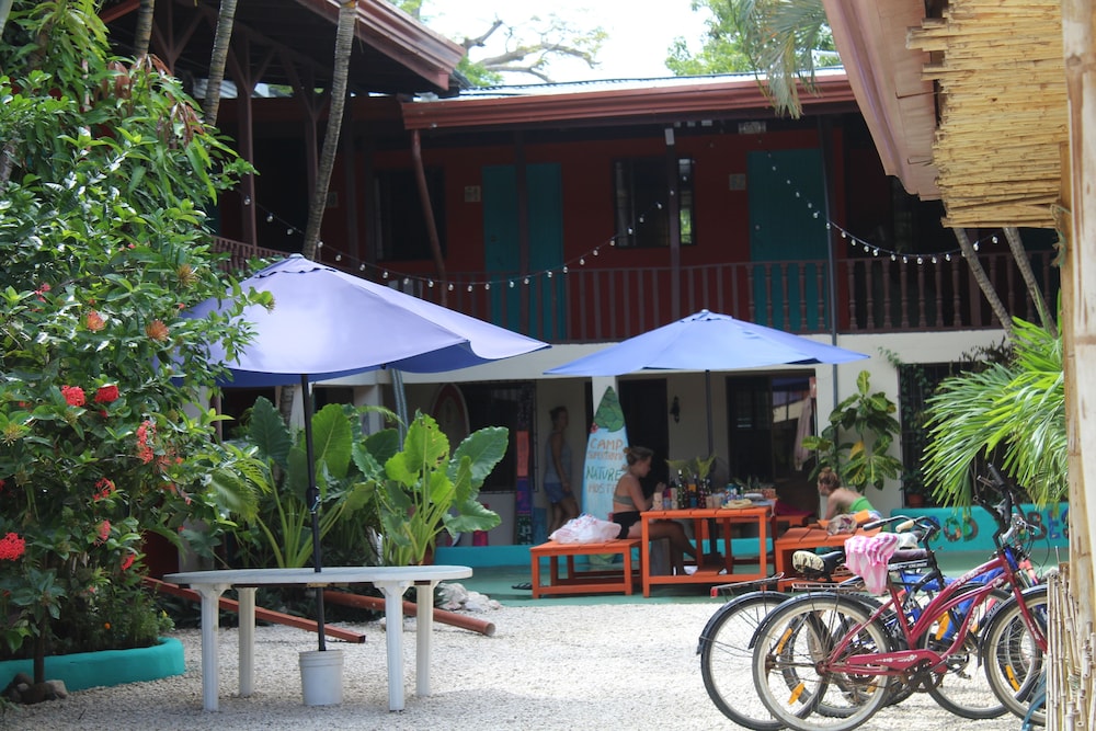 Hotel Playa Samara 6/50