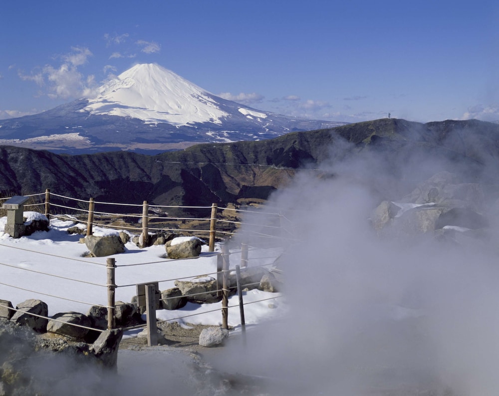Hyatt Regency Hakone Resort and Spa 73/76