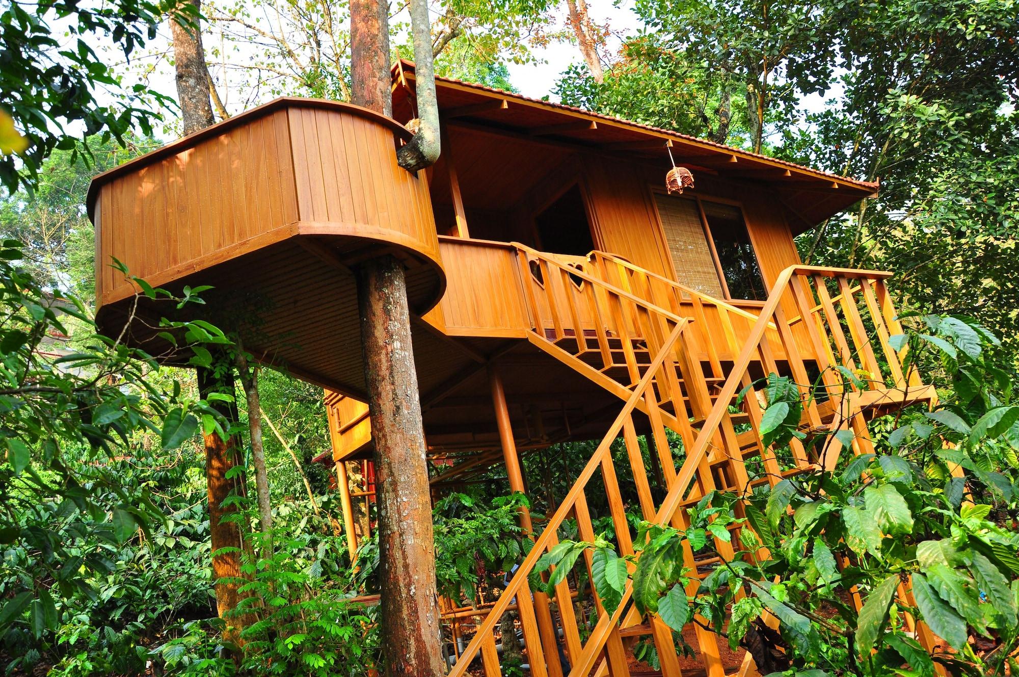 PLANET GREEN PLANTATION RESORTS 2/55