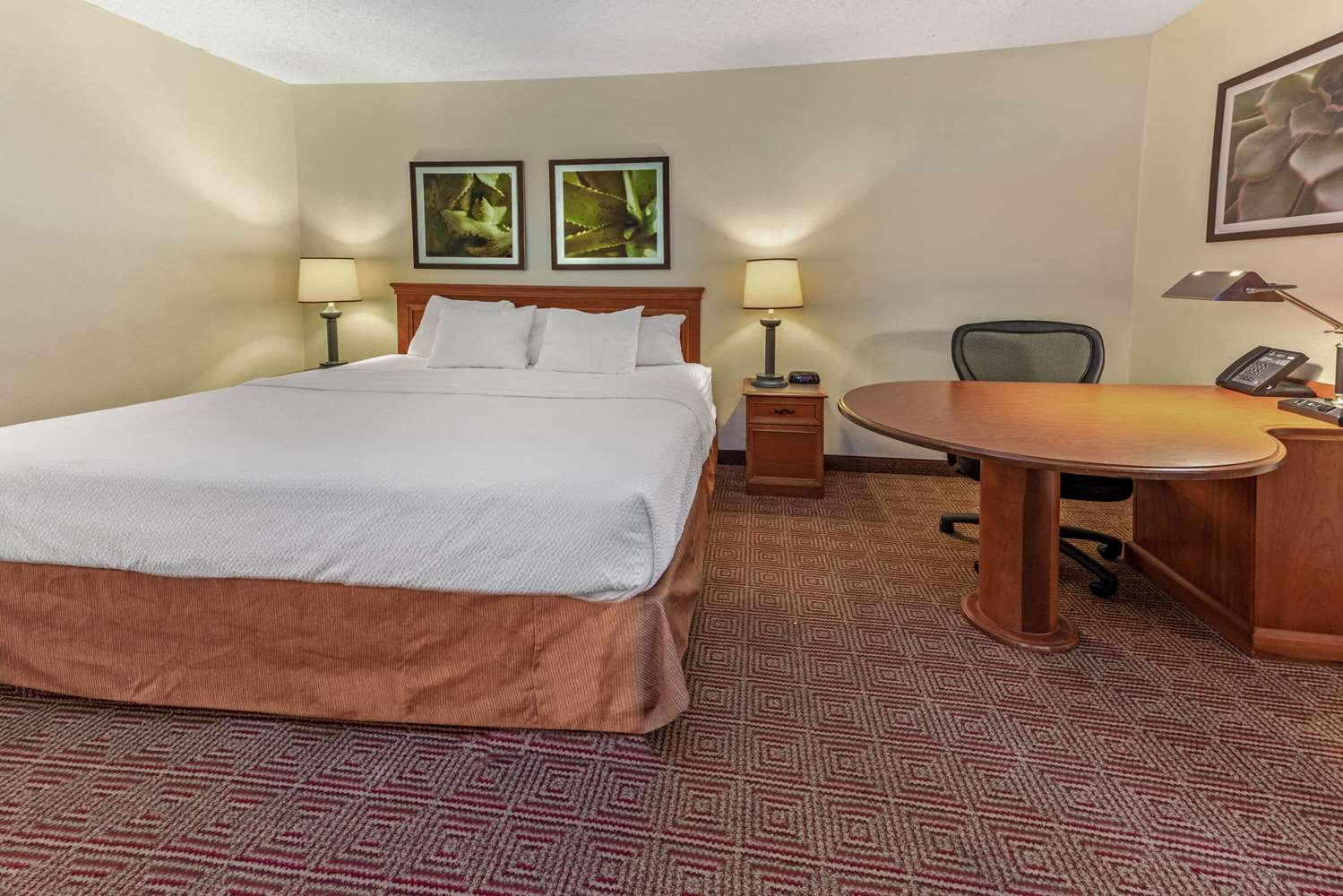 La Quinta Inn And Suites By Wyndham Tampa Brandon West 16/53