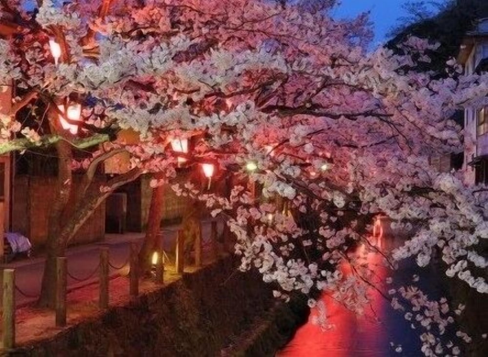 Kinosaki The Crab House Kanian 11/12