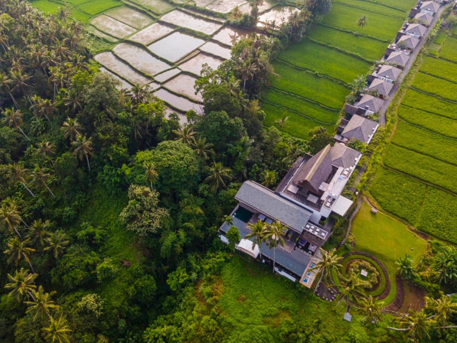 2 Bedrooms, Royal, Grand, Villa, Rice Field View, Private Pool