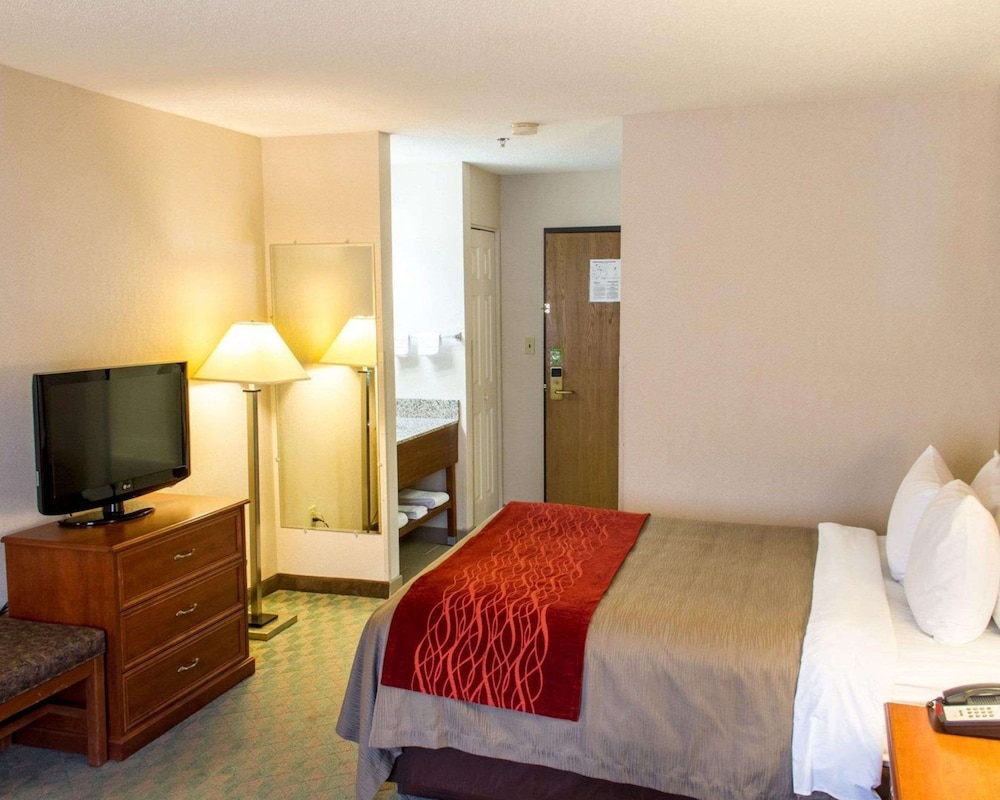 Comfort Inn Hastings 9/41