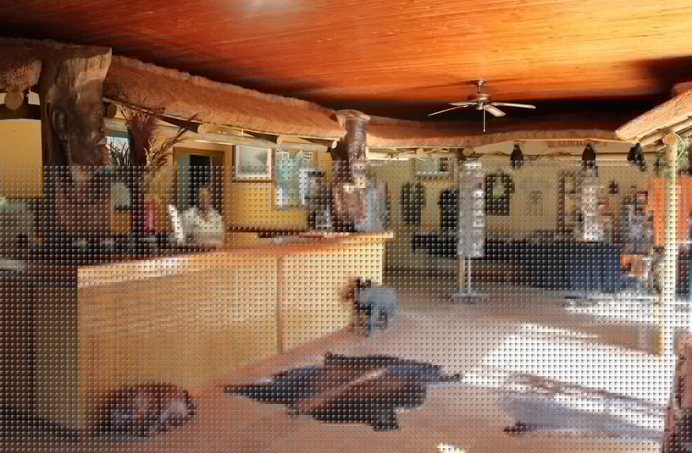 Bushlands Game Lodge 21/45