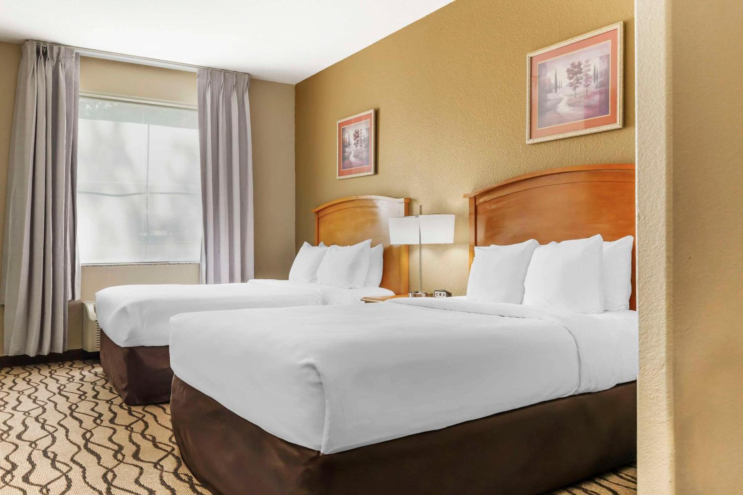 Efficiency, Quadruple, 2 Queen Beds