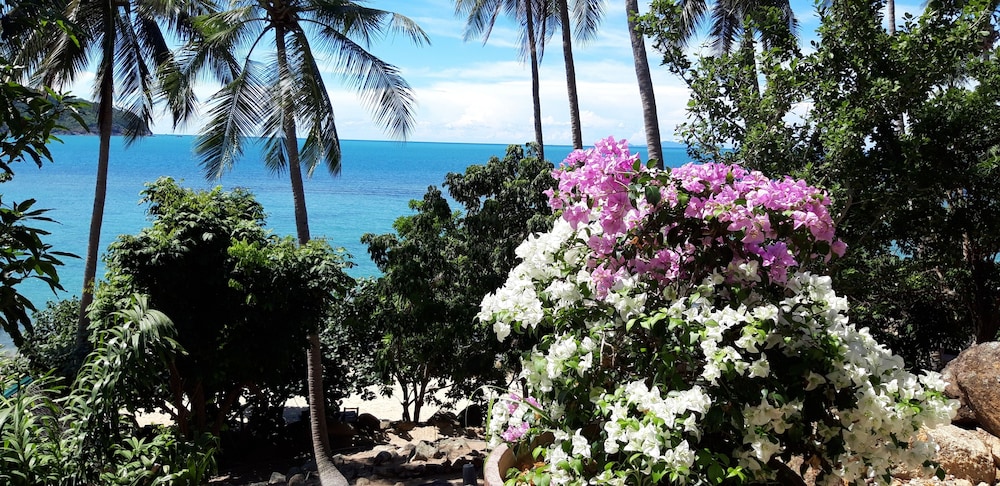 Padel Phangan Suite 39/50
