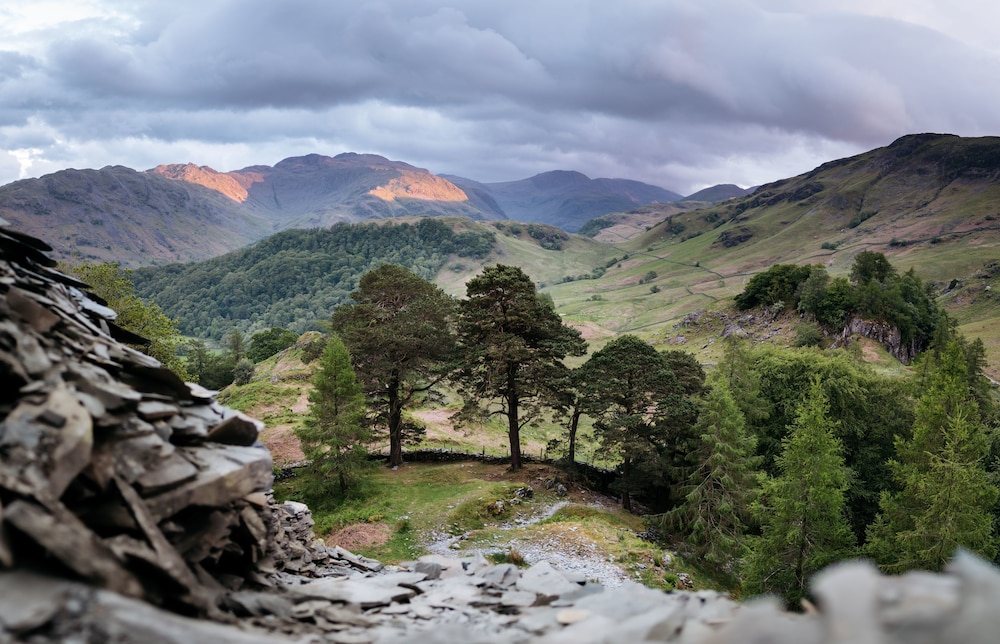 Borrowdale Gates 60/66