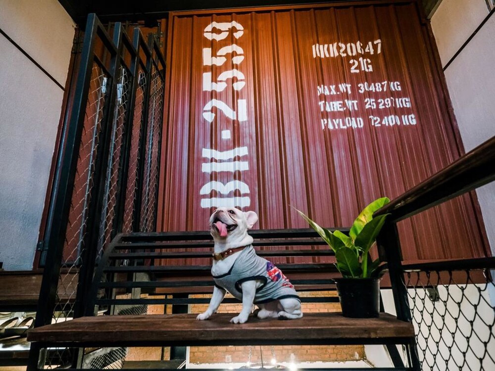 Zeds Hostel Bangkok 11/66