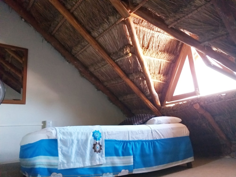 La Constanza de Rulo 34/63
